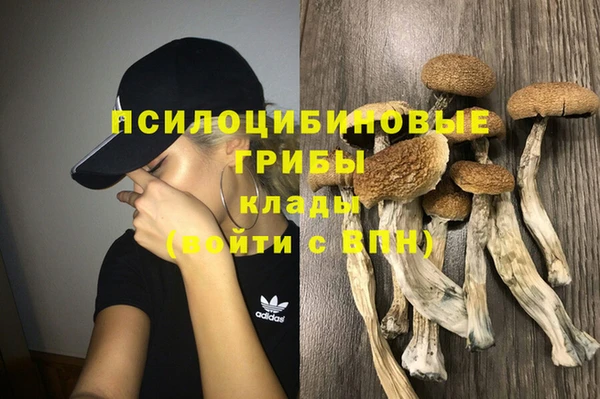 соль курить ск Верхний Тагил